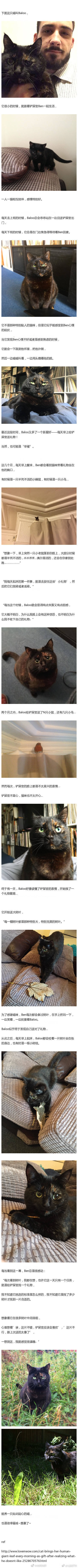 “每天早上起床，我胸口要么是一只半死不活的老鼠，要么是一只鸟。” …… 一只贴心