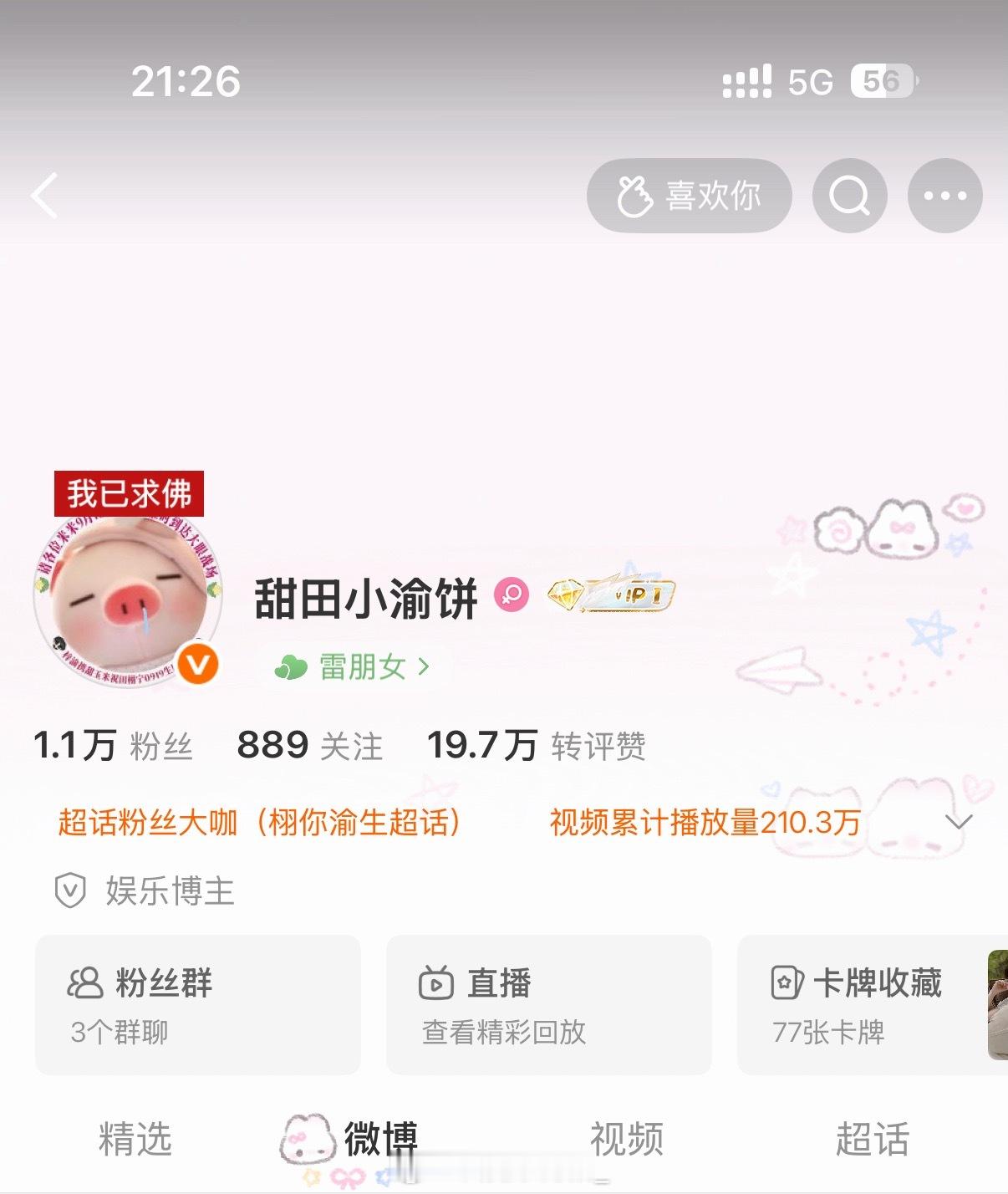 权威小猪头像[笑哈哈] ​​​