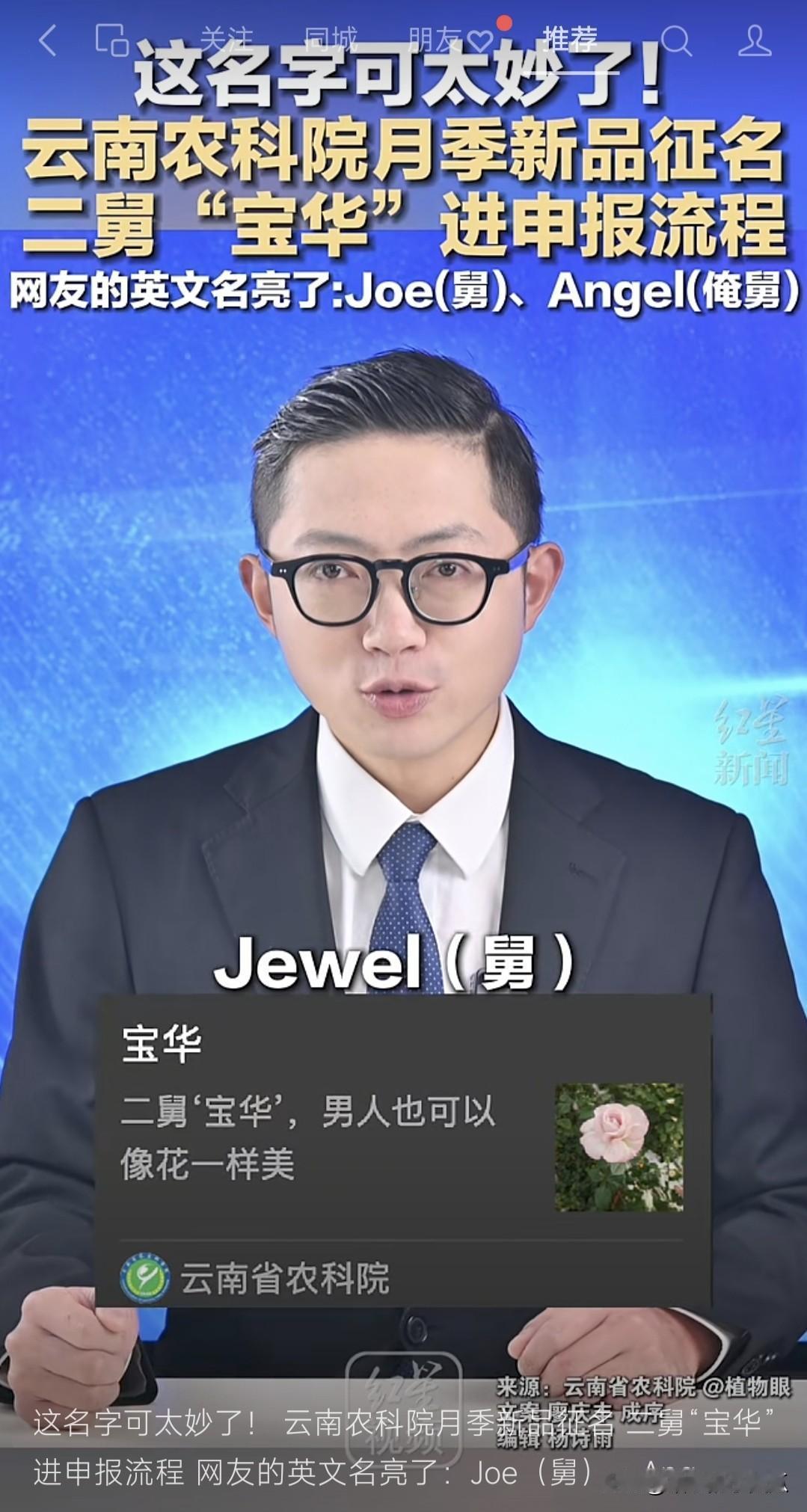 云南农科院月季征名
没想到“宝华”遥遥领先
只因网友一嘴我二舅叫刘宝华
立刻获得