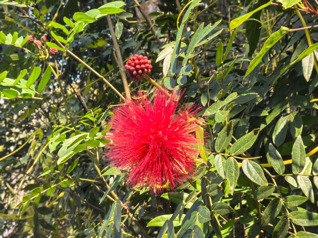 欧盟最后一个堡垒被攻破了。

这话说的是匈牙利。在欧盟里，匈牙利一直是个“异类”