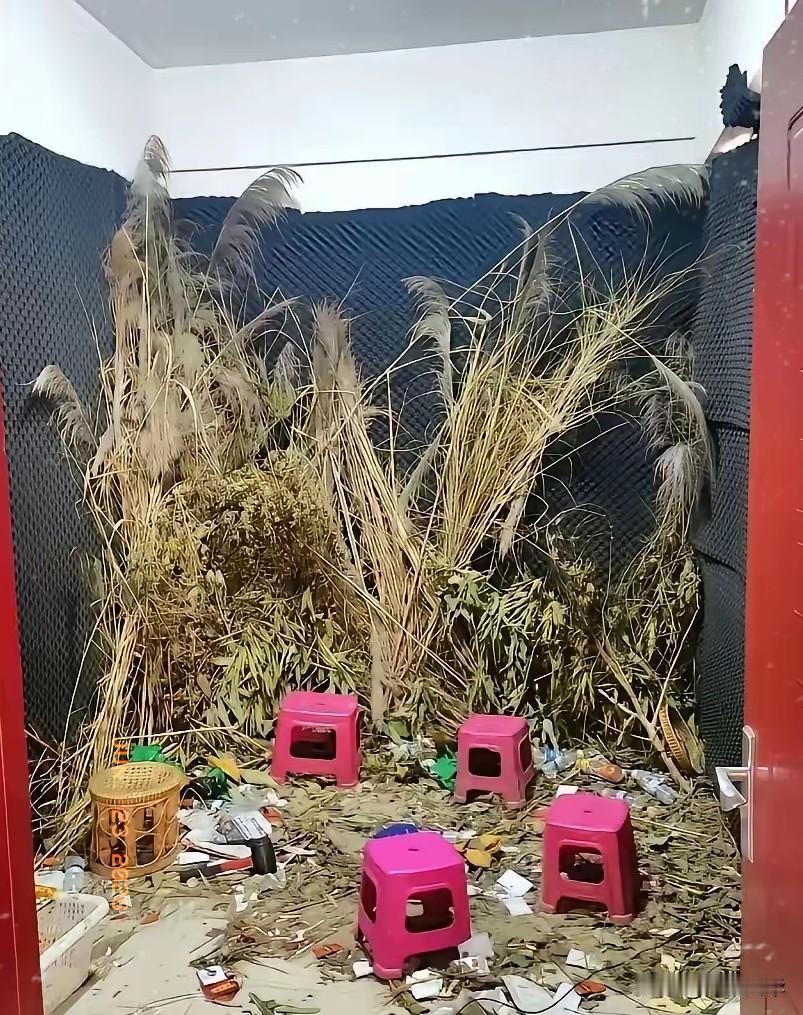 不会吧，
连这个也要造假[捂脸]
我就说嘛，大晚上的，一个人不可能在野外直播，后