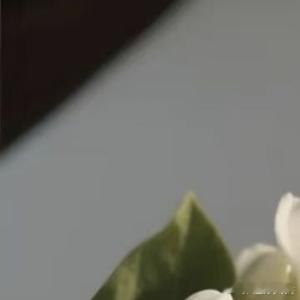 生活手记生活原本沉闷，但跑起来就有风，我们每个人都可以成为自己的太阳。用微笑面对