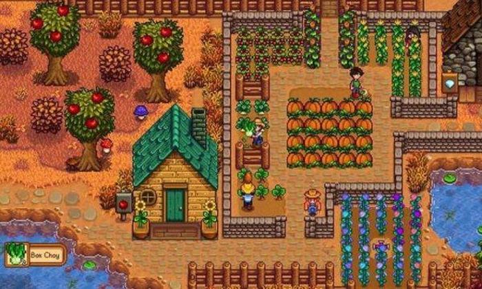 【《星露谷物语》Switch 2版将免费升级】昨日任天堂直面会透露《星露谷物语》