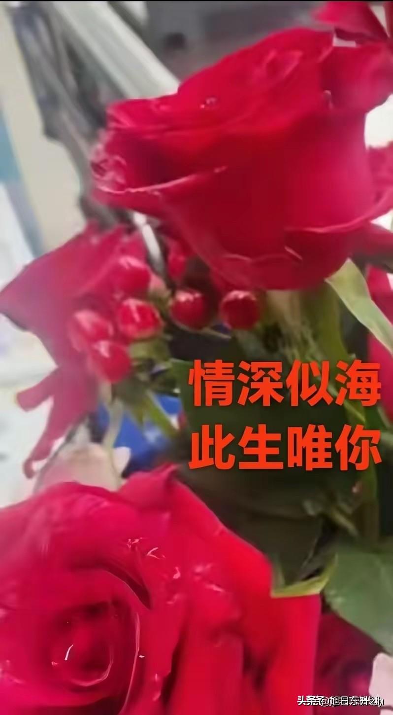 我和你
久久共处
包含了欣赏
理解敬佩和尊重
也倾注了牵挂
惦记思念和祝福
有缘