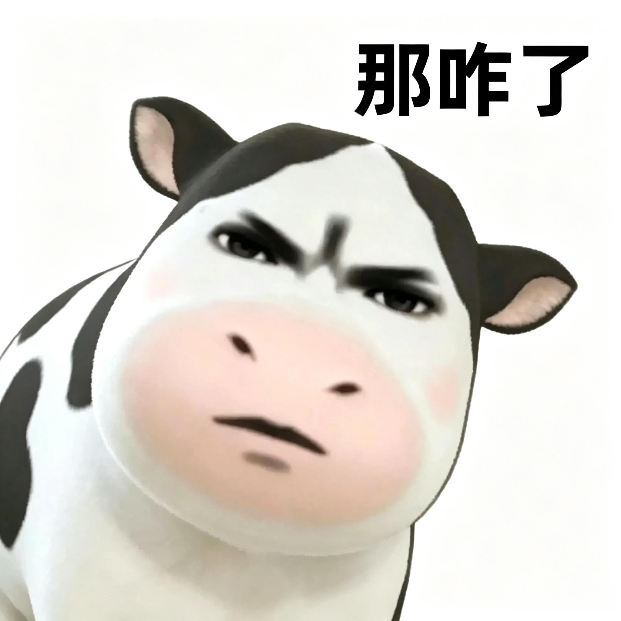 现在遇到问题的心态be like ：无所谓，反正要离职的 