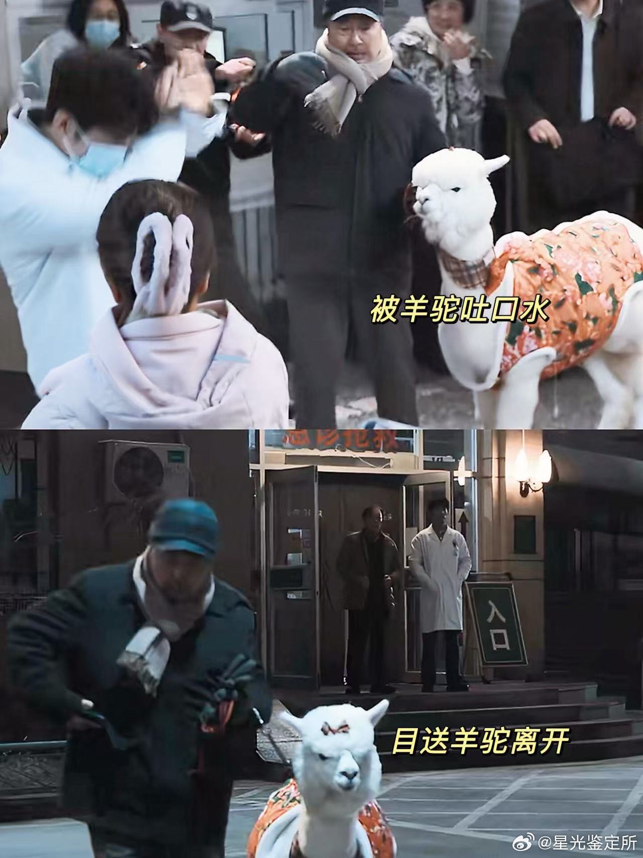 小城良方接地气小城良方 整部剧烟火气拉满，没有悬浮桥段，每一段故事都能让人联想到