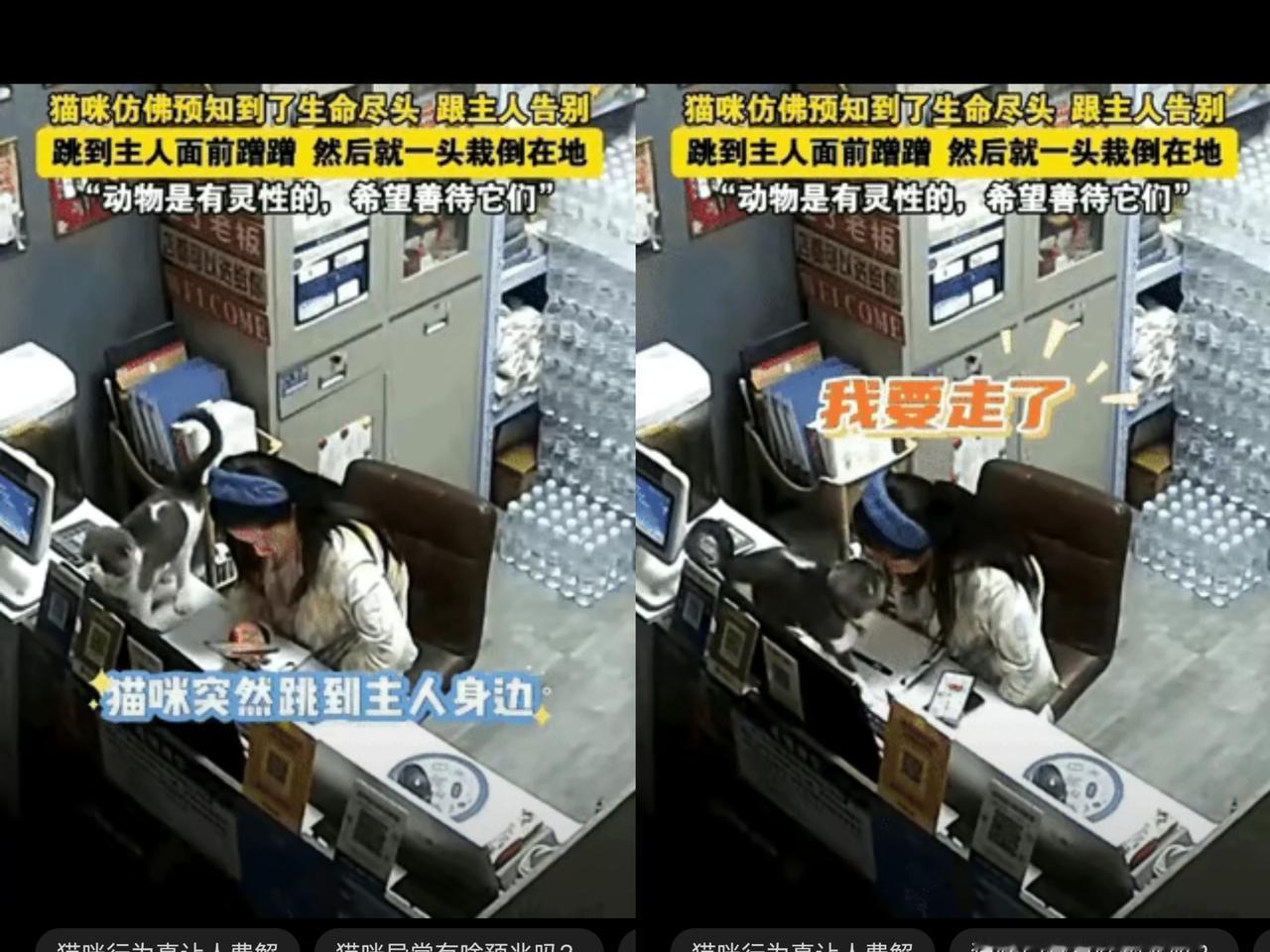 科学家来了都无法解释了！
山东德州凌晨5点钟，一名女子莫名其妙的失眠了，于是起床