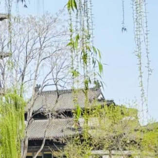 无论坦途，还是坎坷，无论鲜花，还是荆棘，拥有一份淡然的心境和一份坚定的信念，才会
