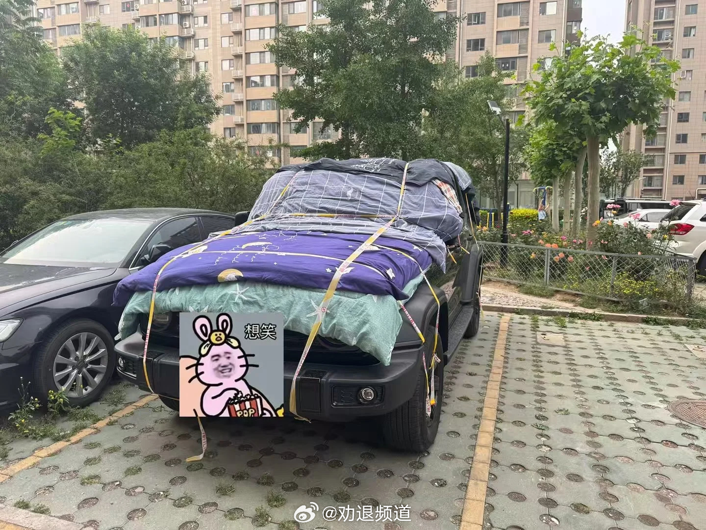 成都冰雹记得给车盖好被子[二哈]成都的兄弟可以抄北京的作业了 ​​​