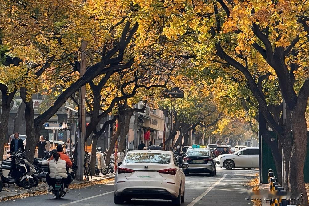 都在说“穷人家的孩子早当家”，说这句话，就好像这是穷人家的孩子天生该有的本事，理