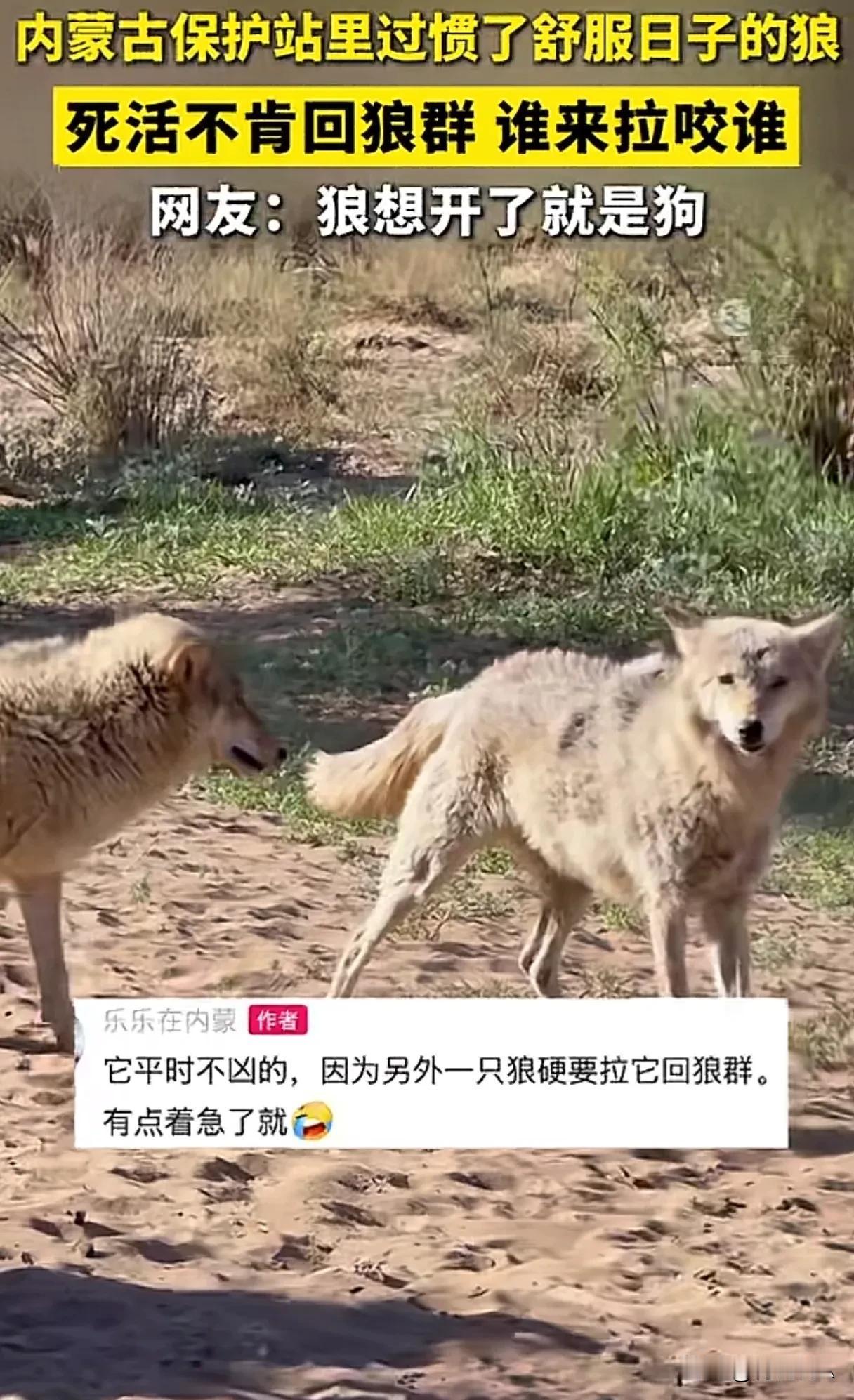 贝塔：欧米伽，阿尔法叫你回家。
殴米伽：我已习惯了衣食无忧的生活。

贝塔：给个