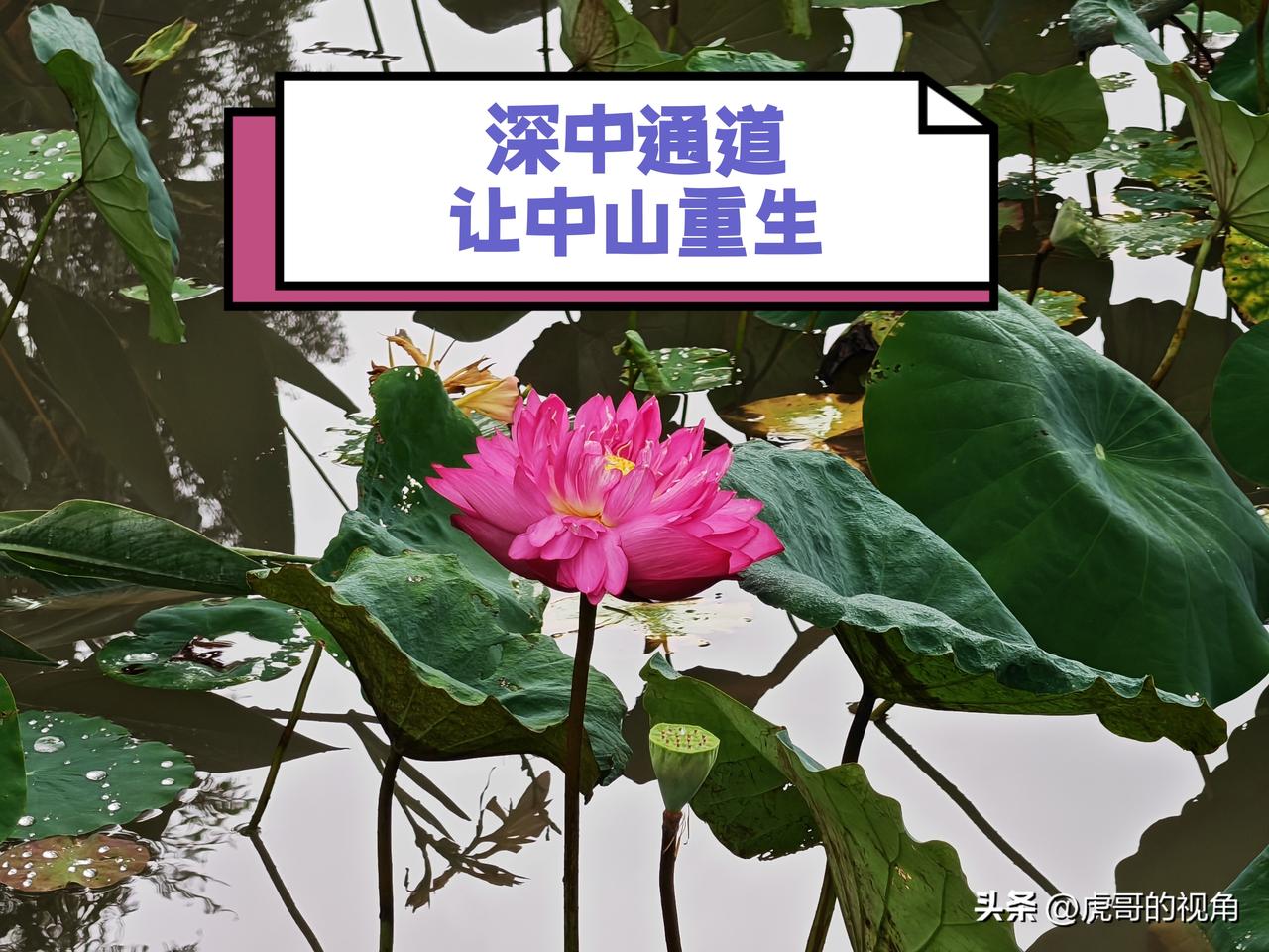 深中通道令中山市重新焕发出勃勃生机。在深中通道开通两周年之时，深中通道对中山的作