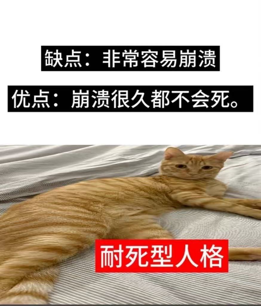 本人 ​​​