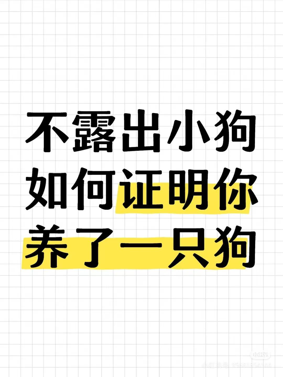 懂得都懂！

每天看它都一副委屈巴巴的样子，一旦放出来就开始兴风作浪。我的手是它