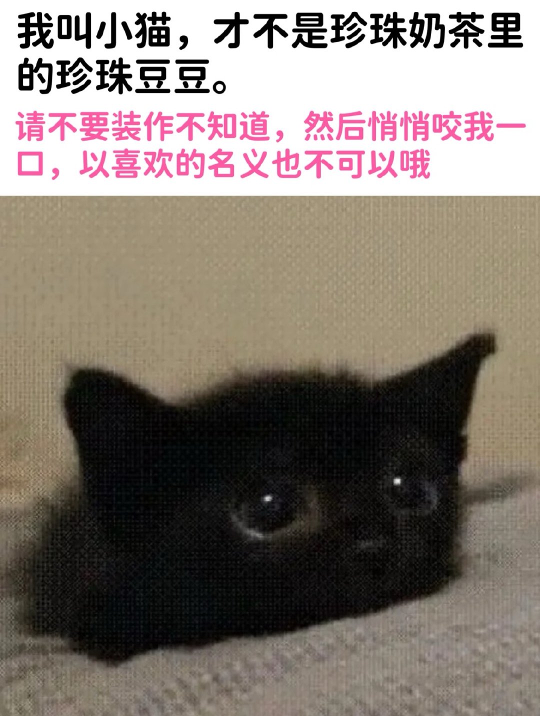 只是一个私人博 看前别带脑子家里小猫不懂事乱发的前世sx只养铁 有事置顶dd 主