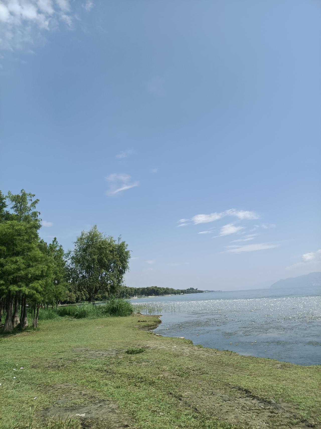每日洱海