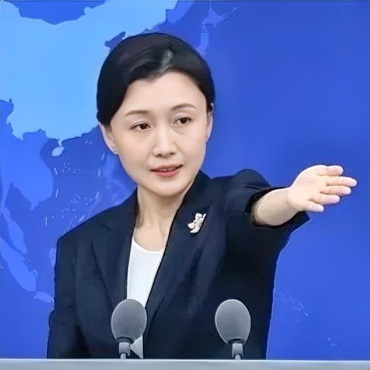 国台办新任发言人张晗11月5日首次亮相，简直不要太美——不仅人长得漂亮有气质，发