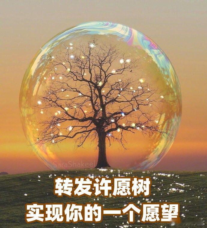 许愿，转发许愿树，实现你的一个愿望~