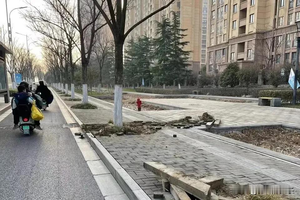  宿迁大道（迎宾大道—酒都路）快速化改造工程，已经开始挖树了！