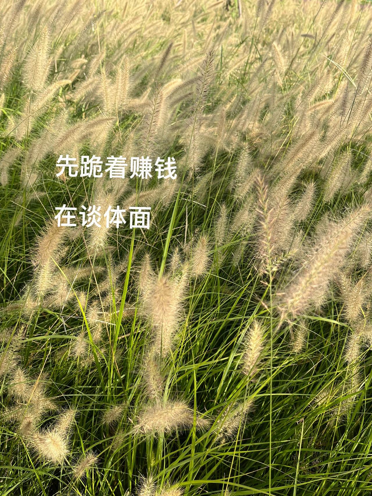 我是在家一天也不愿待了，看看同龄人都还在工作。

开始刚退下来的时候，感觉好开心