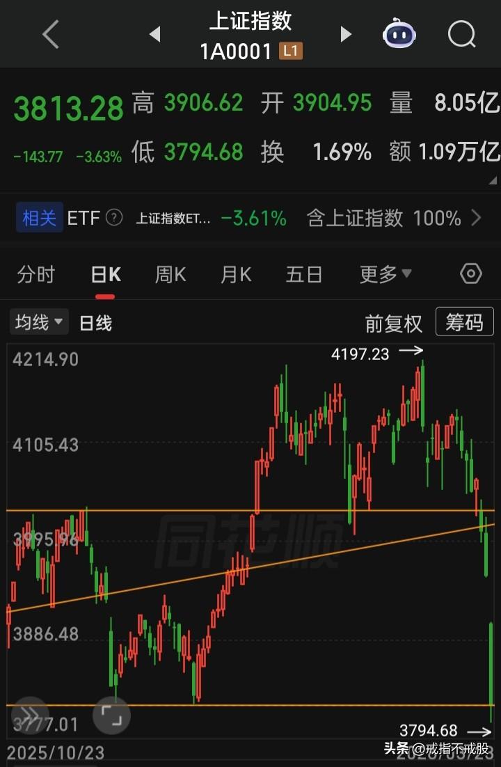 这是什么熊？“疯熊”？“慢熊”？