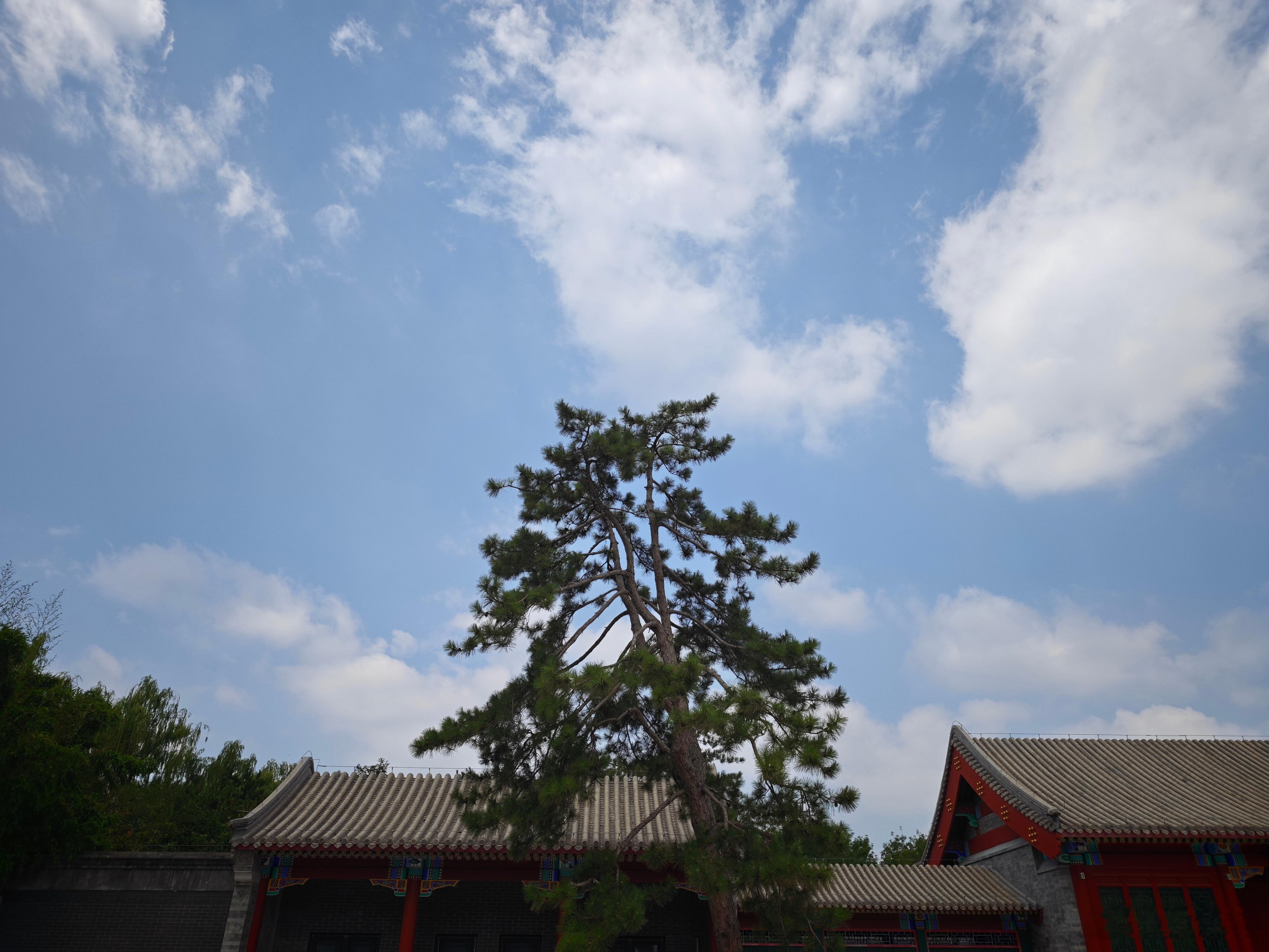 今日倒头条