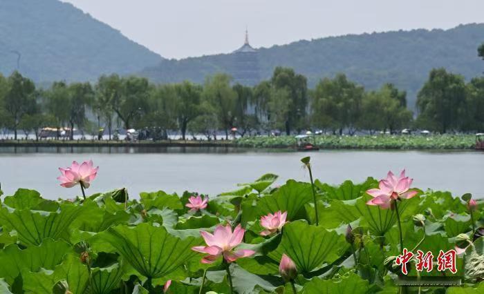 就在刚刚，来自杭州市生态环境局的一则重磅消息刷爆了环保圈，杭州这次又在国际上露大