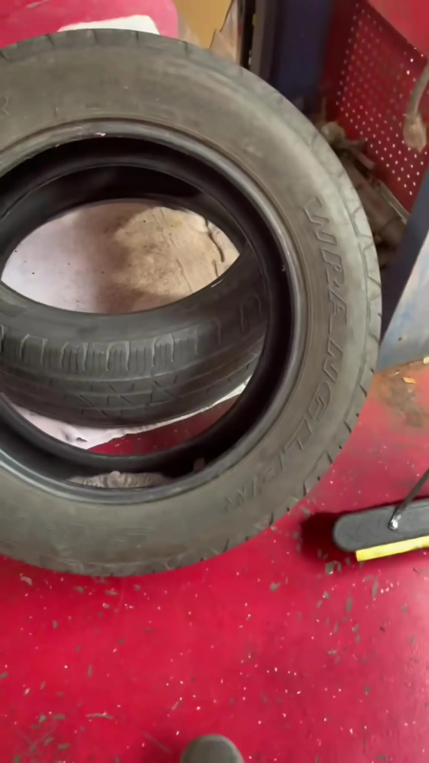 发现两只小可爱～