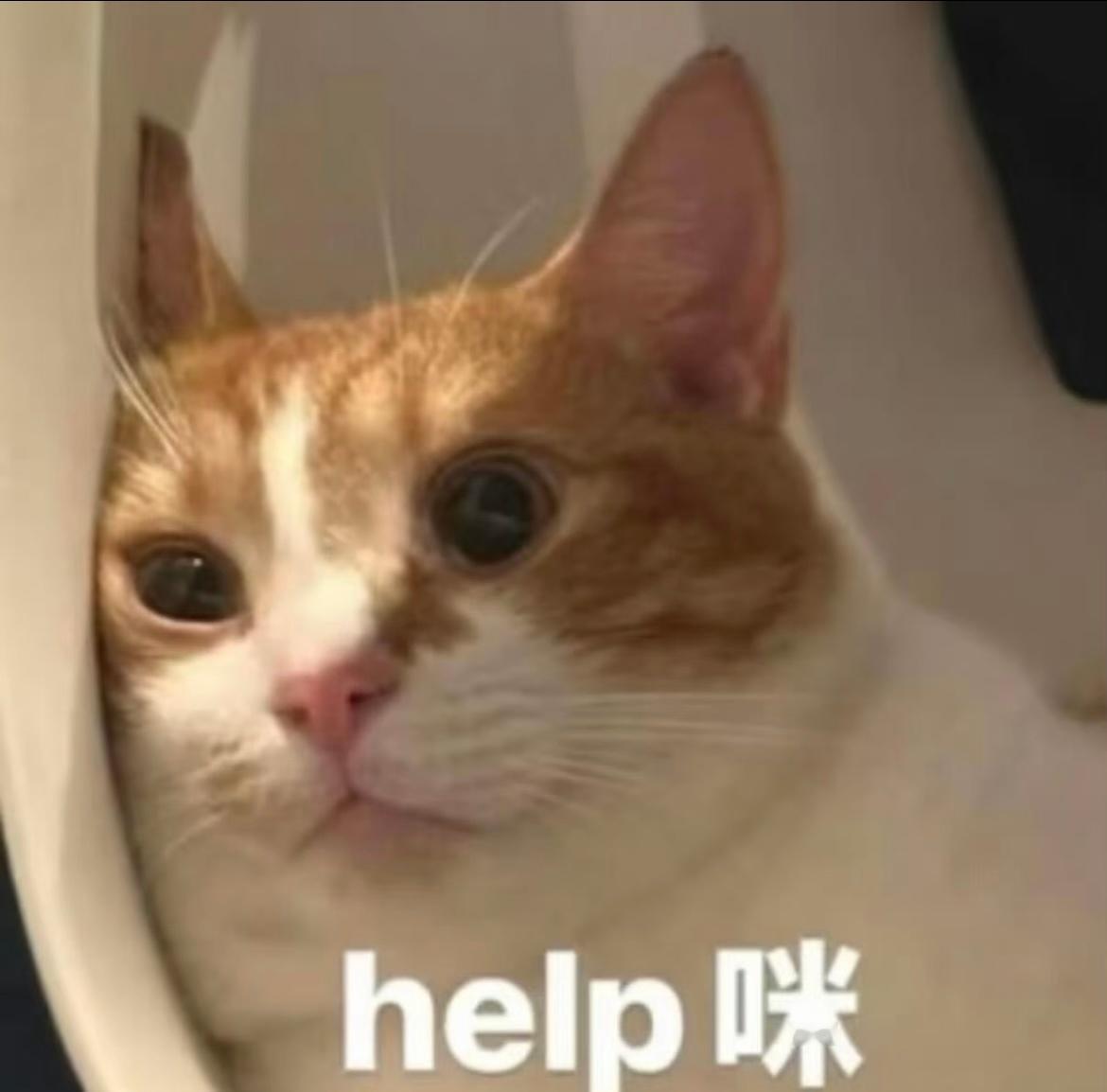 老天爷你真的可以给我安排新的钱了，上个月赚的钱全部花完了。 