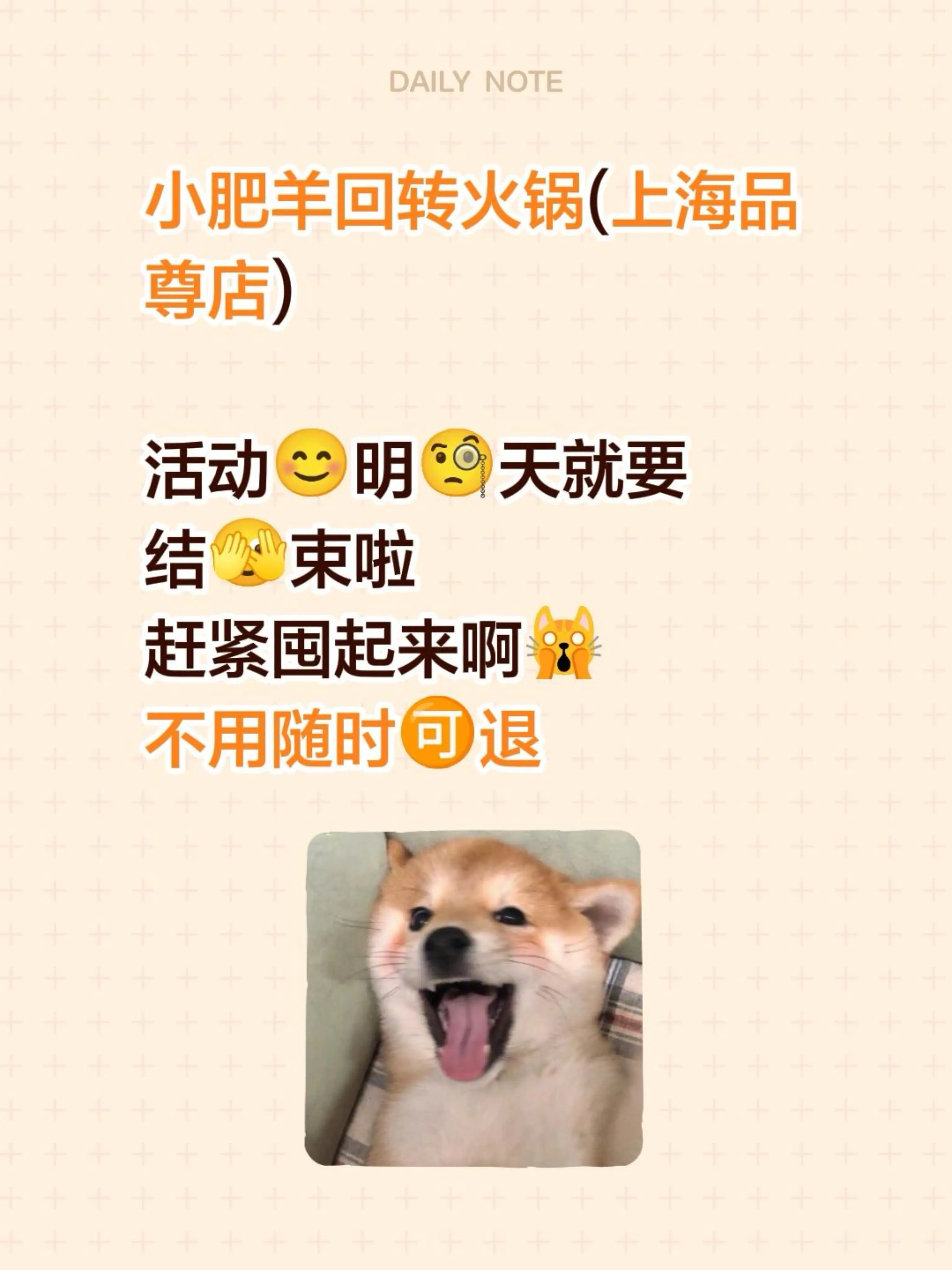 小肥羊回转火锅(上海品尊店)  活动😊明🧐天就要 结🫣束啦 赶紧...
