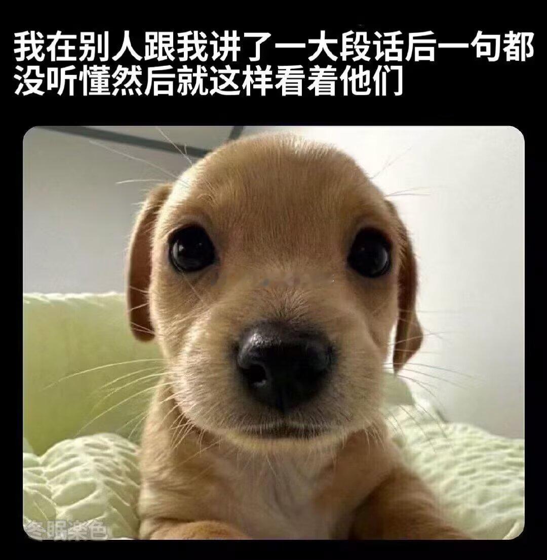 有时候大脑飞走了我就会这样 ​​​