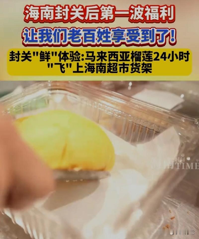 海南封关首日的榴莲抢购潮，把不少人看懵了——猫山王88元一斤还排成长队，这到底是