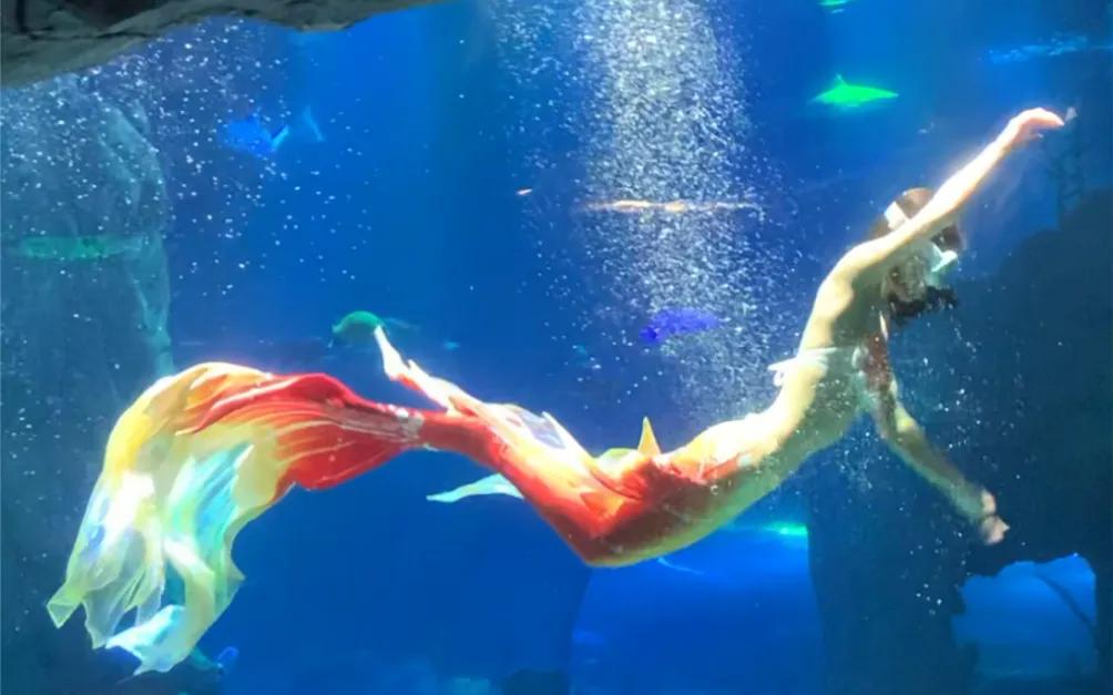 不得不说，东北三省是真的会整活。前一段时间，长春动植物园的雪饼猴火了，靠着一口极