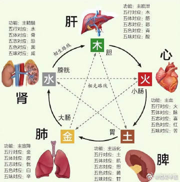 一图看懂：五脏与五行，五体，五色，五味，五志如何对应？ 五脏——肝心脾肺肾；五体