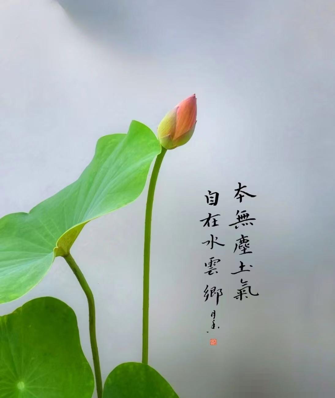 心想事成的法则：金句浓缩版
  1. 敢要，宇宙就敢递；
      敢信，好运