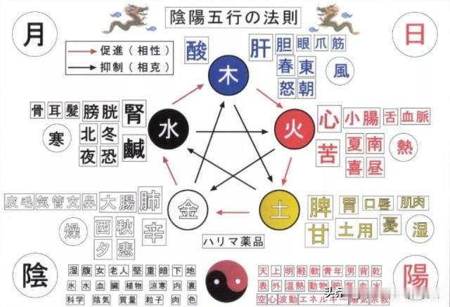 肾弱者多淫，肝弱者多软，心弱者失眠，脾弱者多短。

1、肾弱者多淫
表现：总胡思
