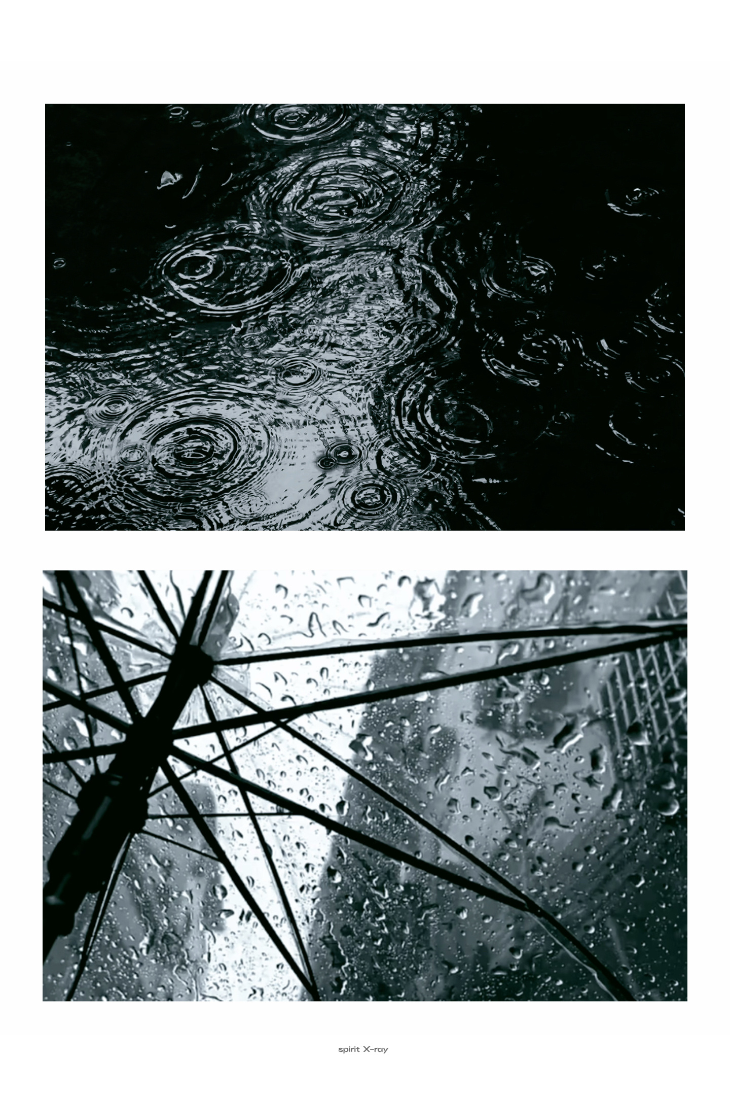 -东京下雨淋湿巴黎 