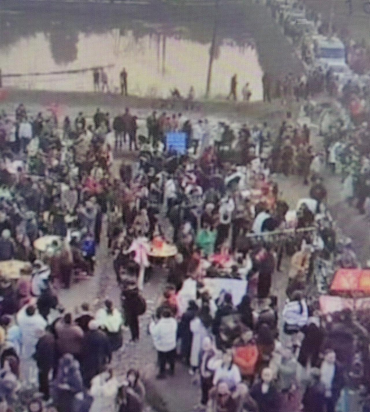 重庆女孩呆呆（网名）网上求助“招人帮忙杀两头猪”，一下子招来高峰时3000人同在