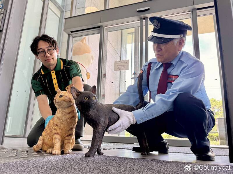 与保安“攻防战”持续8年：日本已故“小黑猫闯馆者”以木雕形式“进入”美术馆海外新