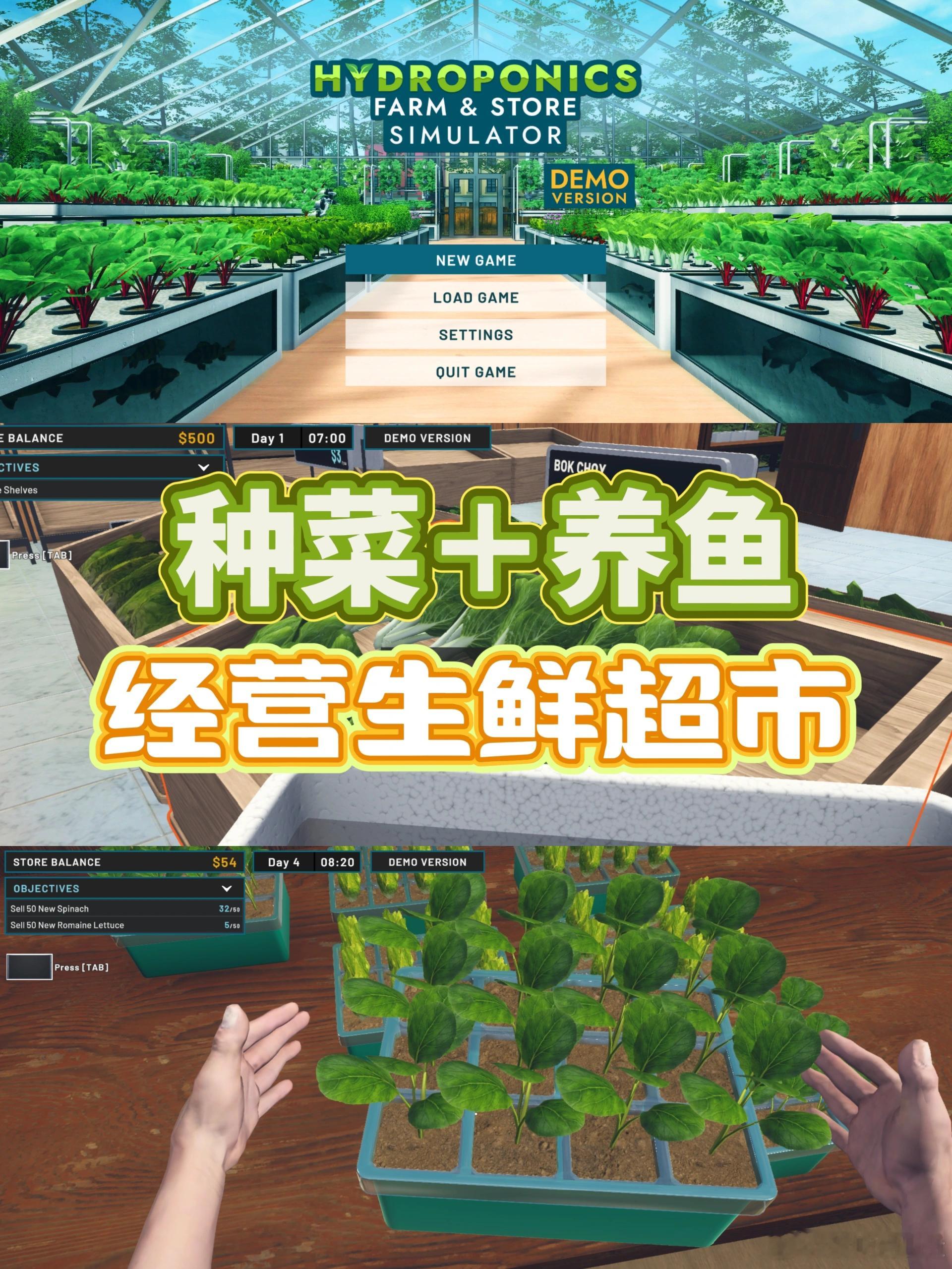 steam游戏🥦种菜＋养鱼的超市模拟经营🌽hydroponics farm 