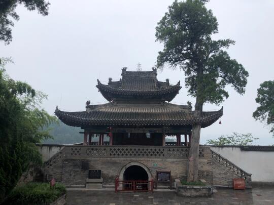 一棵神奇的树