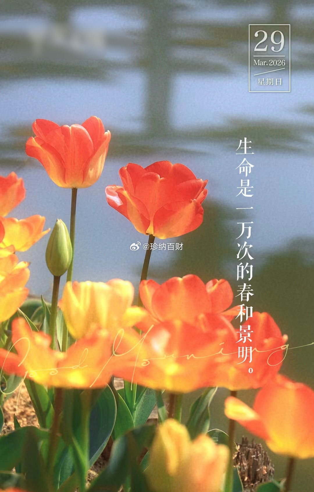 早安心语  当你看过牛熊，见过涨跌，你才发现，你要寻的财富，是自己内心的淡定和从