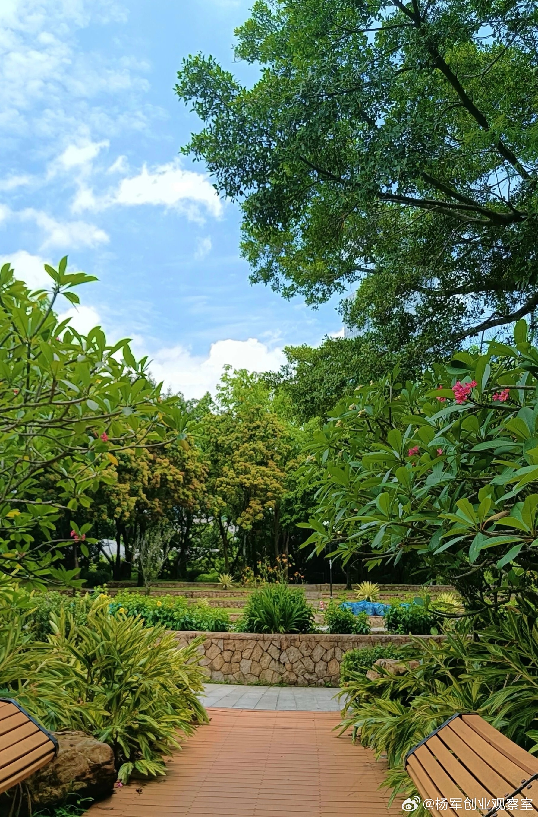 简历石沉大海？HR揭秘：这4大“自杀式”写法千万别碰！写简历不是写日记，千万别把