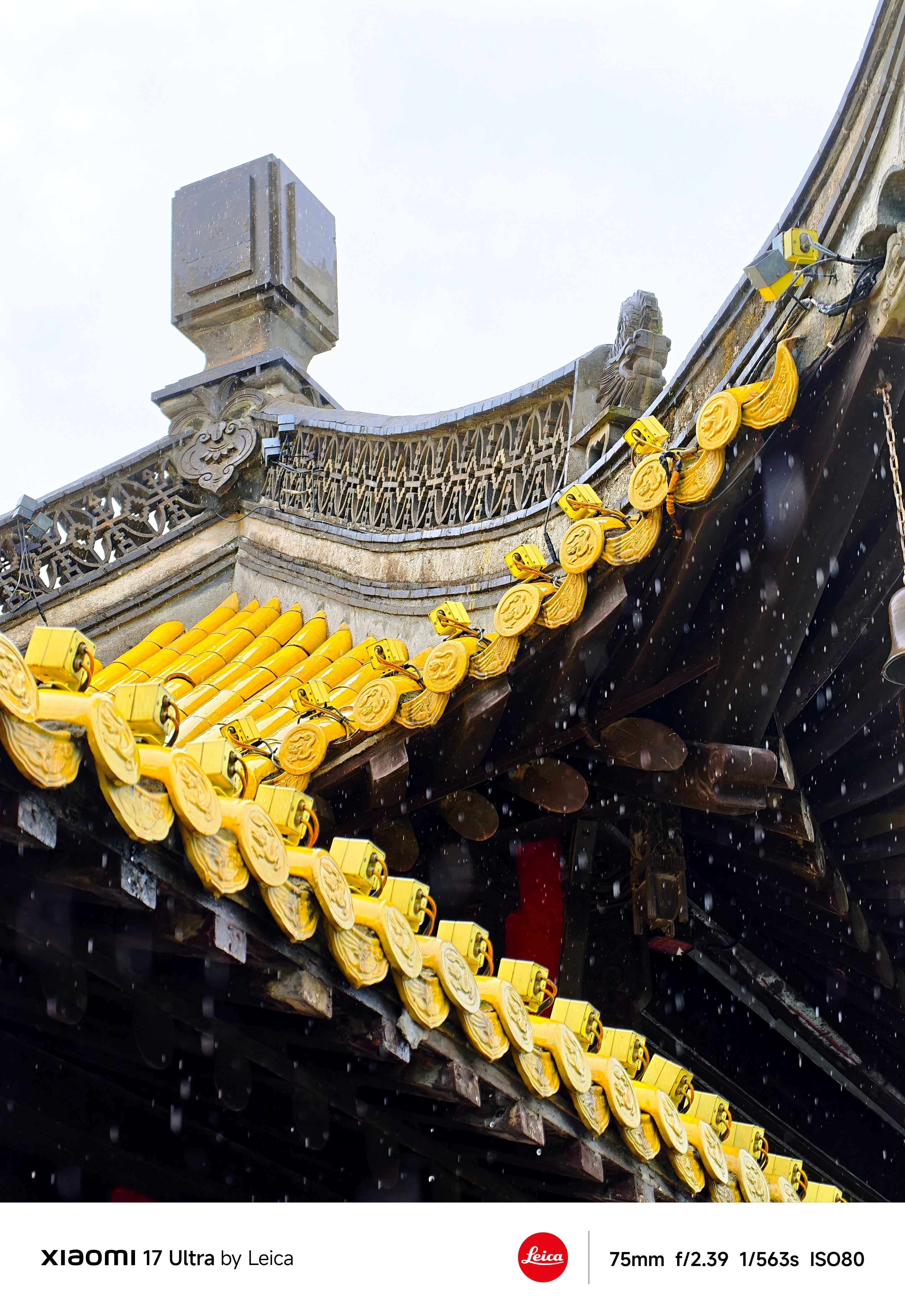 也没有人告诉我黑天鹅也会哈气啊雨天的瘦西湖真不错 扬州·瘦西湖景区