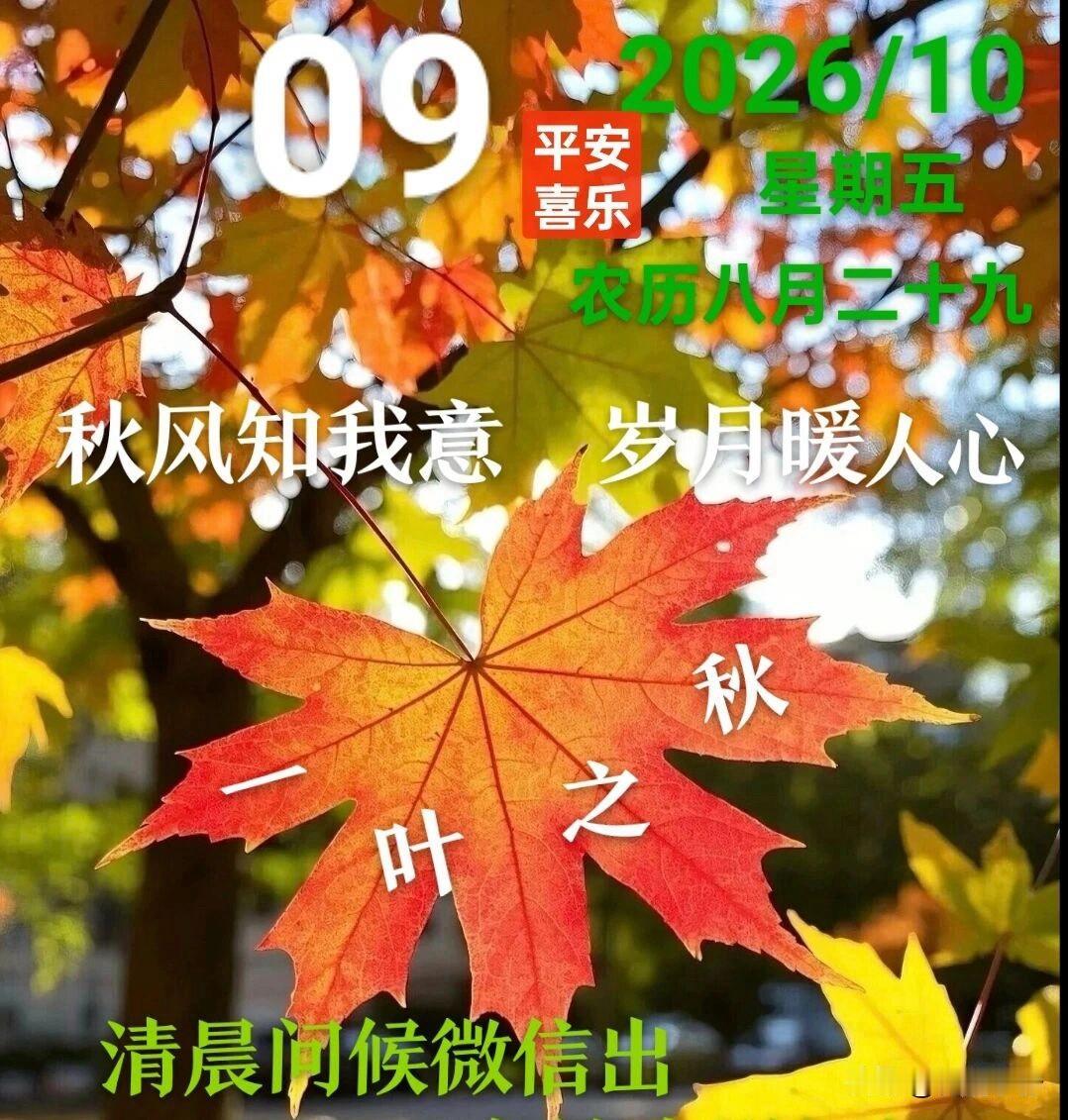 🍂²⁰²⁶/₁₀.₀₉ ᵕ̈ 🌞早安｜秋日柔光☕️🍒🍑🐎

秋风漫过窗