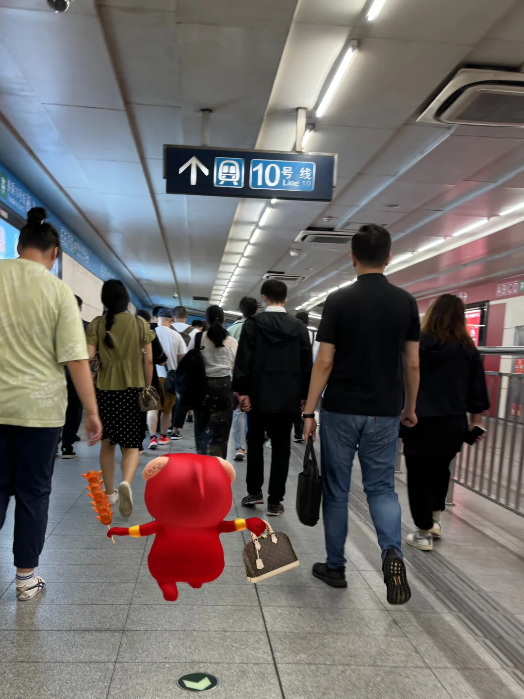 不是闲猪，要上班的哦妹妹