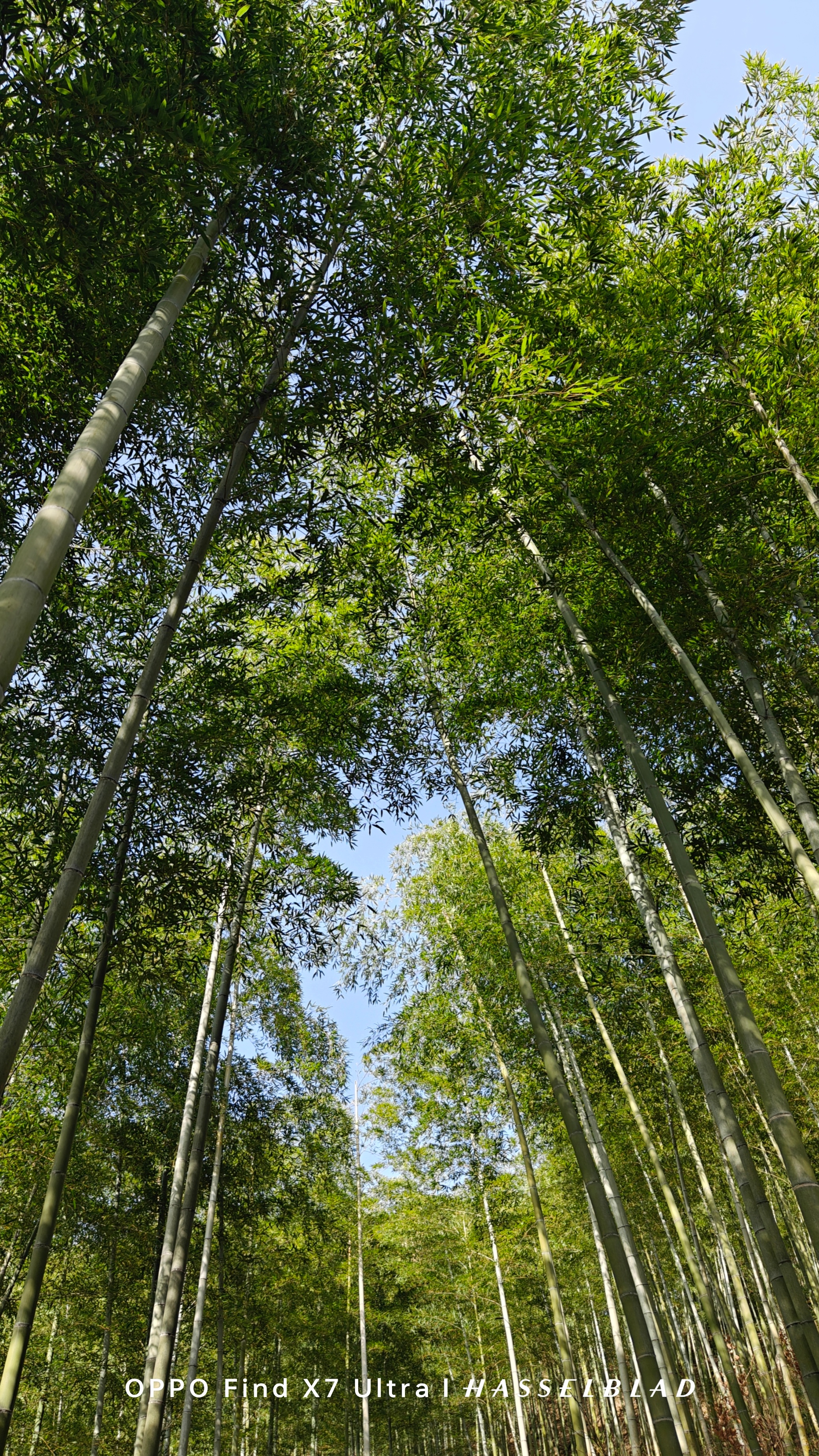 三月再见，四月你好。愿大家都能遇见更好的自己。#拍一点色彩装进春天##oppo超