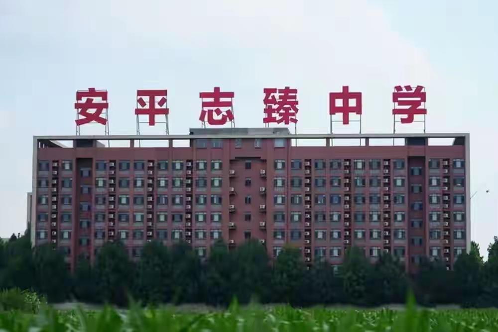 2元买走8亿股权，
​涉事的安平至臻中学，
​我查了一下，结果发现，
这所民办中