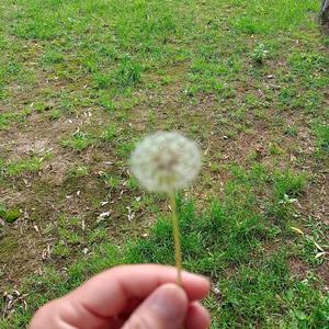 脚踏实地做自己