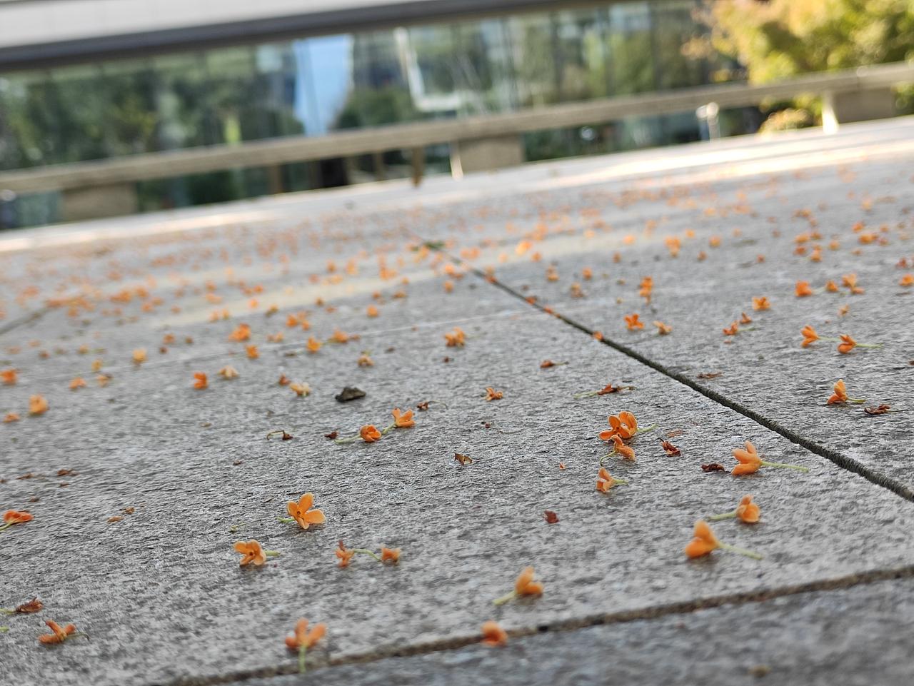 紫微斗数另一半是否旺夫？

怎么看你的另一半是不是旺夫的？列出了三个条件：

1